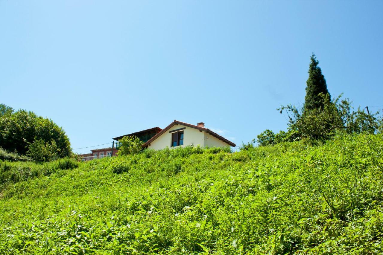 La Panera Del Carbain Villa Soto Del Barco Buitenkant foto